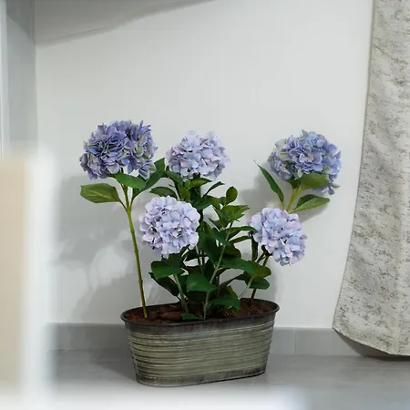 Casa Alva * 알게로